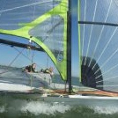 Chris Koala Bear Matthews