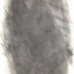 Travon Yhurboi Savoy