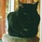 Blackpaw