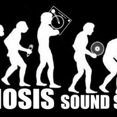 Symbiosis Sound System