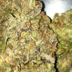 lcream420