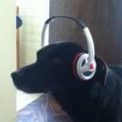 Miguel Angel Guizado Luyo