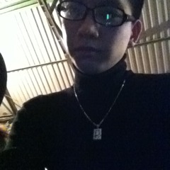 DUCCHIP