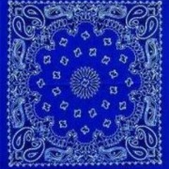 Spring Chase Nicc Sr.