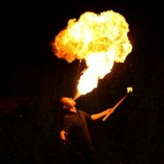 Andrew 'fifi' Poodle