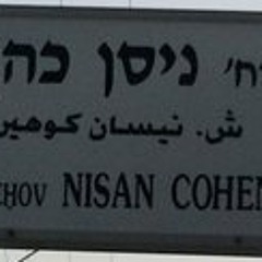 Nisan Nico Cohen