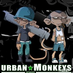URBAN MONKEYS