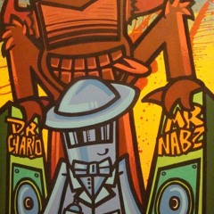 Dr Charli & Mr NaBz