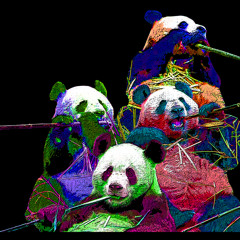 Pandas In Color