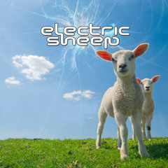 Electric Sheep