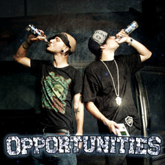 Opportunities423