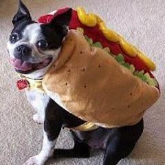 Stacie Hatcher Hanes