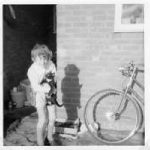 Robin Johnson 3 S Stream