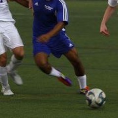 Miguel Castro E Silva