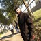 ezeelivin