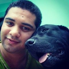 Bruno Lima