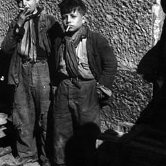 Overseas Chinese Culture