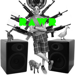 DJ RAWR II