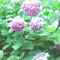 user441449