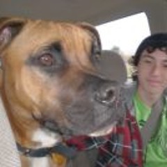 Avery DA Kurlzz Larson