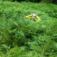 13. Shur-I-Kan - Tubular