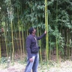 Arlon Michael Peoples