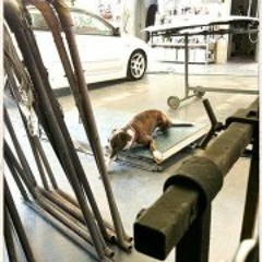 Christian Schäfer 3