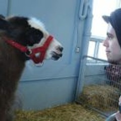 Jean-Philippe Baranofsky