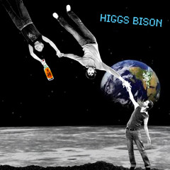HiggsBison