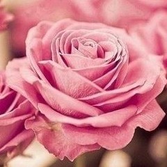 Fatimah_M_B
