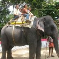 Sridhar Hari 1
