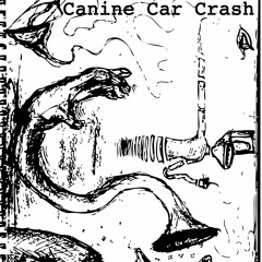 Canine Car Crash
