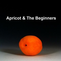 Apricot & The Beginners