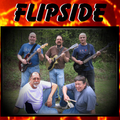 Flipside 2011