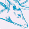 Test something
