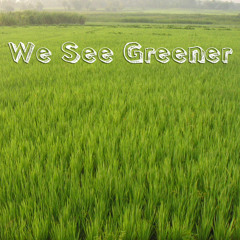 We See Greener