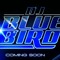 Dj_Bluebird