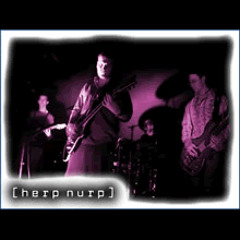 Industry egg (live)