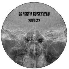 La Partie Du Cerveau
