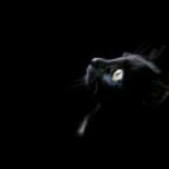 The Kronos Quartet - Requiem for a Dream
