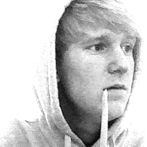 Avicii vs. Journey - The Levels Don't Stop (Sample)