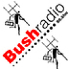 bushradio
