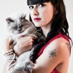 The Fantasy Defender