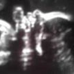 Donna Havinagirl Holmes