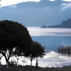 Noah Adm Haverkamp Frere