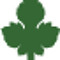 green&thegrey