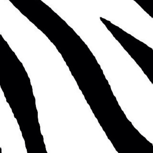 zebrapolice’s avatar