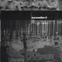 kurzwellenrecordsandtapes