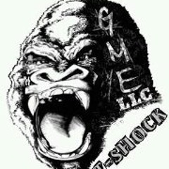 T-Shock of GME
