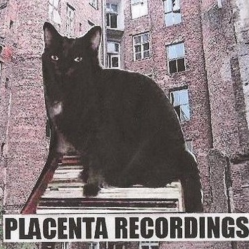 Placenta Recordings’s avatar